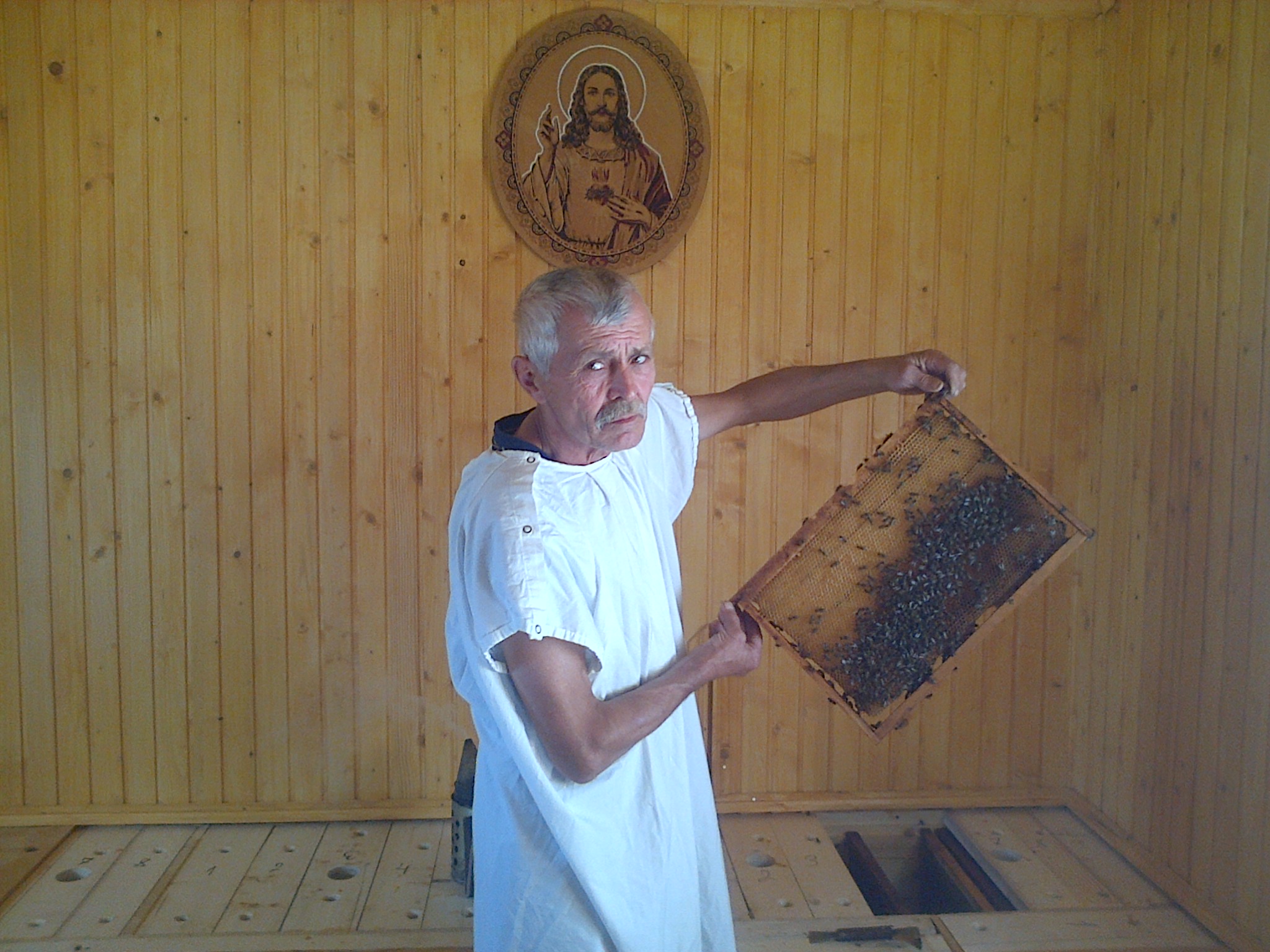 IMG-20140825-00375