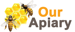 logo en